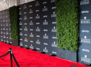 Stage Backdrops Rental NYC