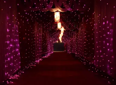 EVENT EXHIBIT LIGHTS